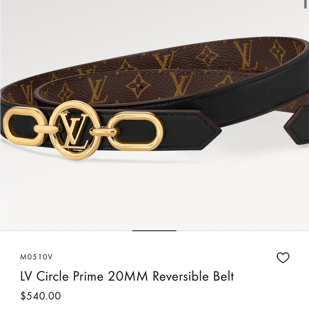 Louis Vuitton Black and Gold Reversible Belt